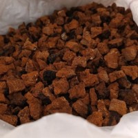 Берёзовая Чага сухая